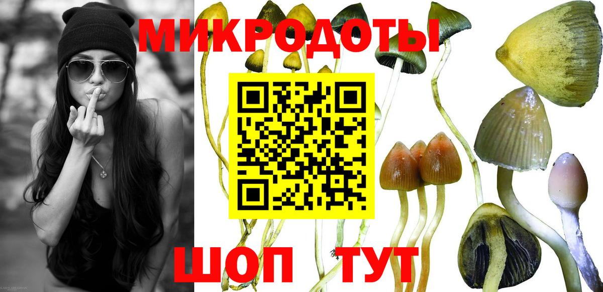 Псилоцибиновые грибы Magic Shrooms  Вход с VPN  Ставрополь  Галлюциногенные грибы мицелий 