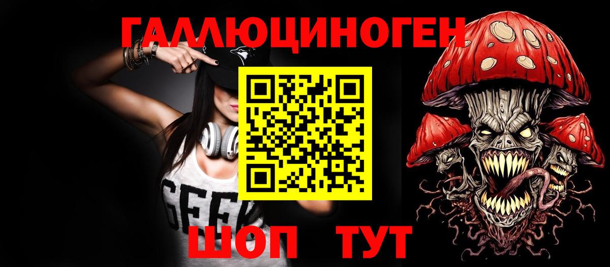 Псилоцибиновые грибы Psilocybine cubensis Ставрополь